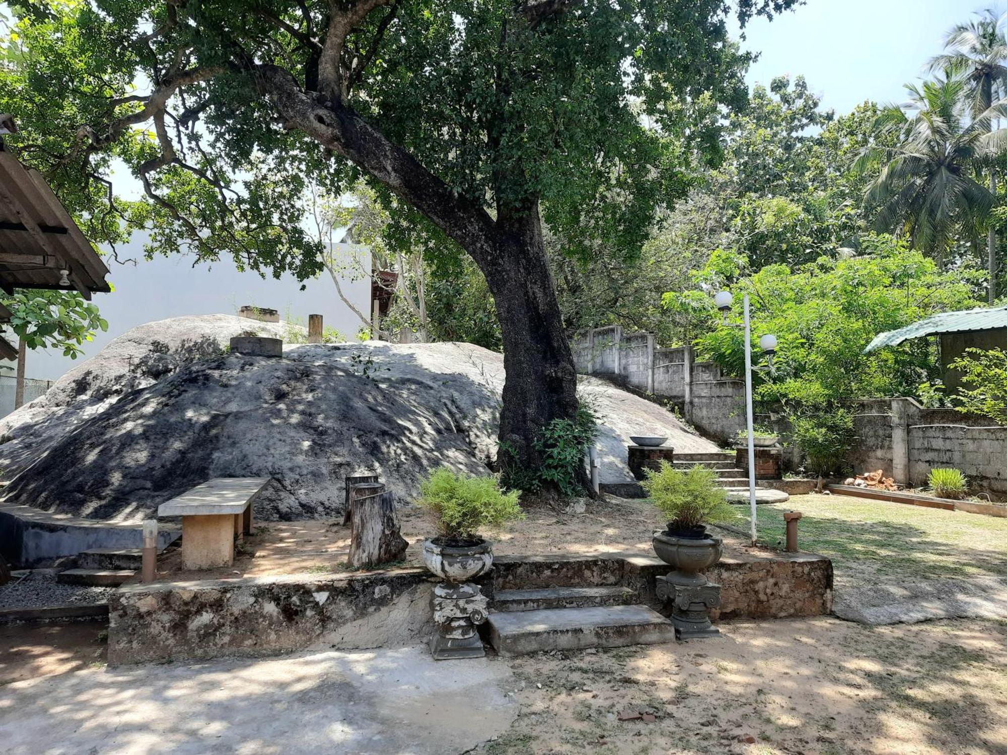 Selagala Resort Anuradhapura Luaran gambar